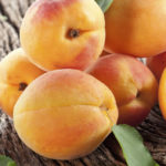 Косточка абрикоса