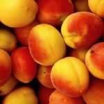 Спелые абрикосы
