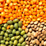 Разные сорта чечевицы
