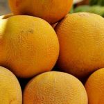 Шесть спелых дынь