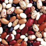 Фасоль разных сортов