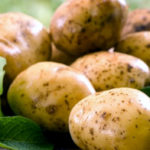 Молодой картофель