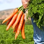 Мужчина с пучком моркови