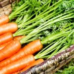 Морковь хранится в ящике