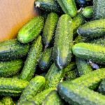 Огурцы хранятся в ящике