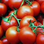 Спелые помидоры