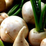 Спелая и вкусная репа