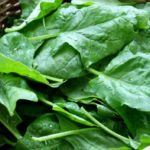 Листья шпината