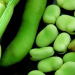 Самые настоящие бобы