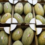 Дыни хранятся в ящиках