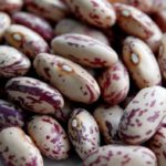 Бобы фасоли