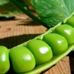 Свежий горох