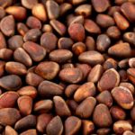 Кедровый орех