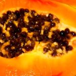 Спелая папайя