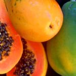 Плод папайи