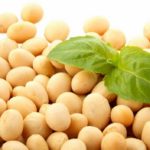 Соевые бобы