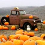 Грузовик на тыквенном огороде