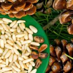 Кедровый орех