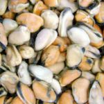 Замороженные мидии