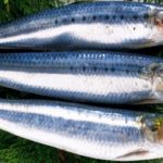 Свежая селедка