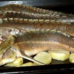 Стерлядь в духовке
