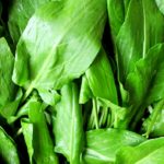 Щавель в тарелке