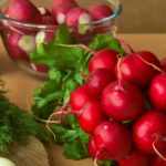 польза и вред редиски