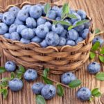 польза и вред голубики