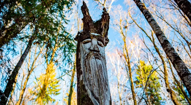 Велесова ночь в 2025 году: история и традиции праздника