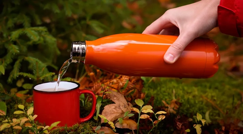 В каком термосе можно заваривать шиповник, и почему лучше не пить его на ночь